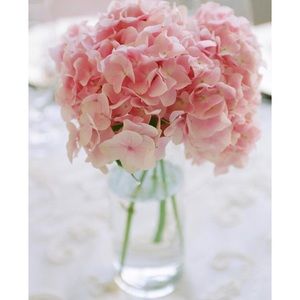 Meet your Posher, Allissa